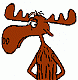 moose