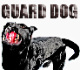 guard dog's Avatar