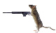 River_rat's Avatar